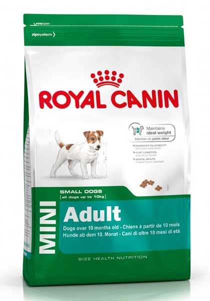 RC DOG SHN Mini Adult KG 2