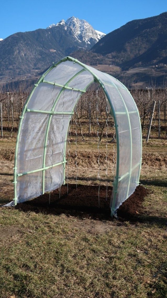 Greenhouse flori for tomatoes 200x150cm