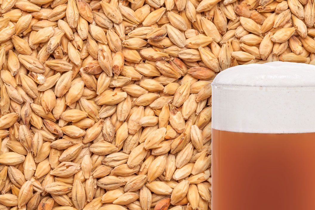 Beer Malt Avan Munich 100% EBC 15-22 25kg