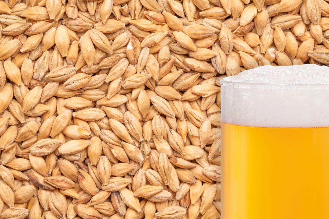 Birra malto Best Caramel Pils 50% EBC 3-7 25kg