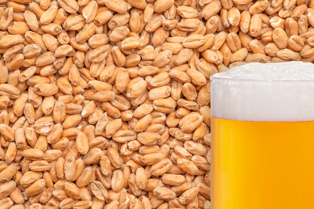 Birra malto Avan Weizenmalz 60% EBC 4,5 25kg