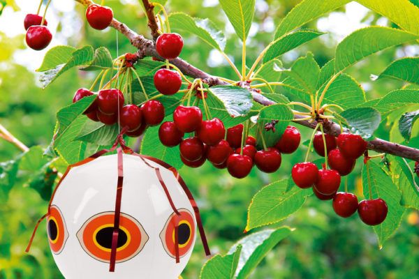 Vogelschreck Ballon Ø40cm weiß – 45109