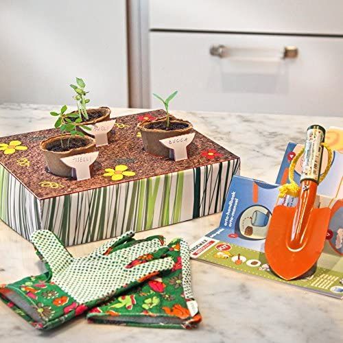 Kids Kit Children`s vegetable – 1879