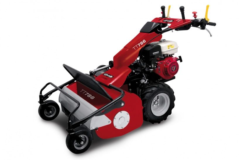 Rental 31