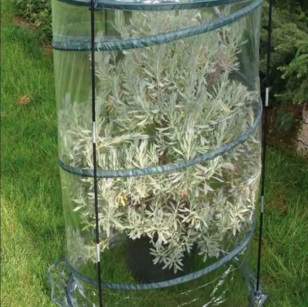 Greenhouse balkony Pop-up „Citrus“ H150 Ø90cm – 2643