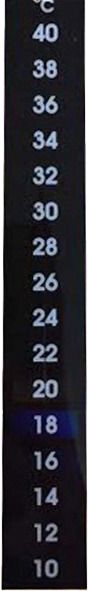 Sticker termometer 10-40°C