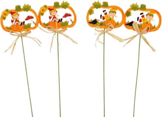 Stick fiori zucca