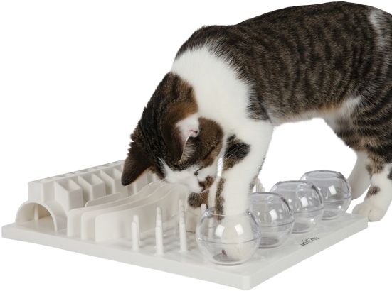 Cat Activity Fun Board 30X40cm weiss – TX4590