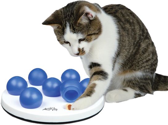 CAT ACTIVITY SOLITAIRE ø 20cm BIANCO/BLU