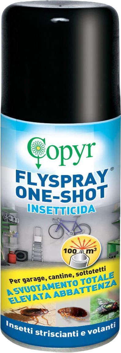 Copyr Flyspray One-Shot 150ml 15/ca