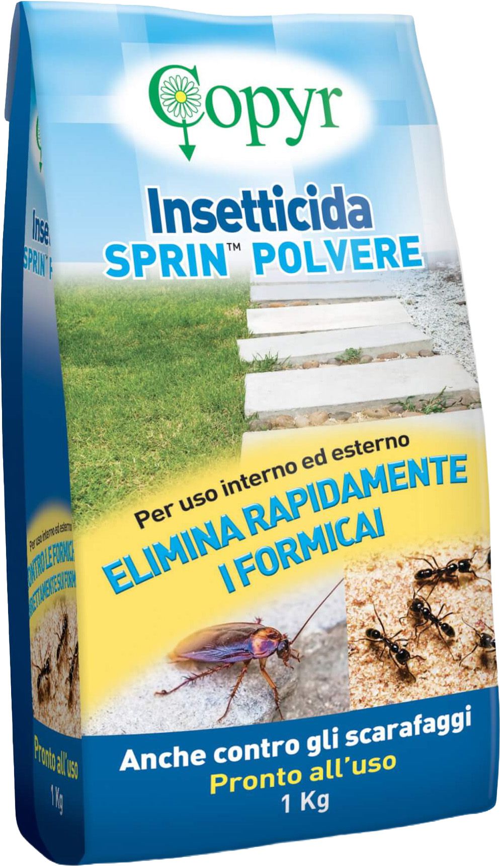 Copyr Insectizid Sprin Powder Plus 1kg bag 10/ca