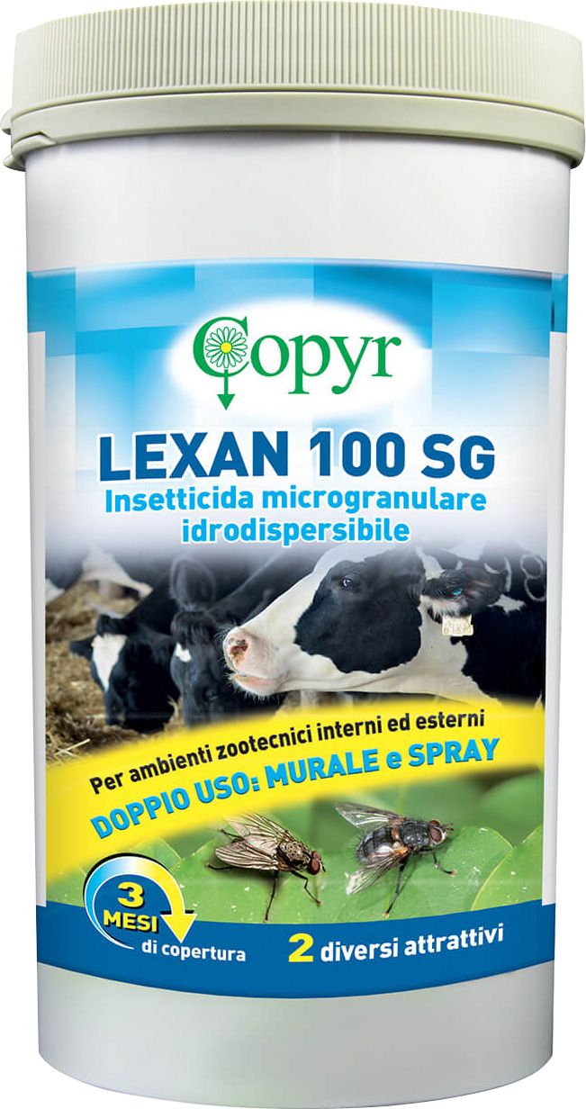 Copyr Lexan 100 SG 750g 9/ca