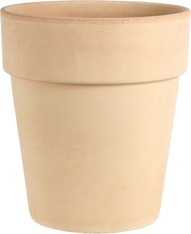 DEG A Vaso Alto Arena 19cm – 03192EE