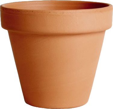 DEG C Vaso Standard 7cm – 10007#