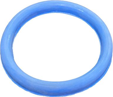 Gasket DIN10