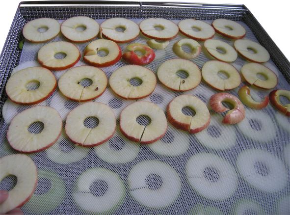 Stuoia alimentare per essiccatore 400×600