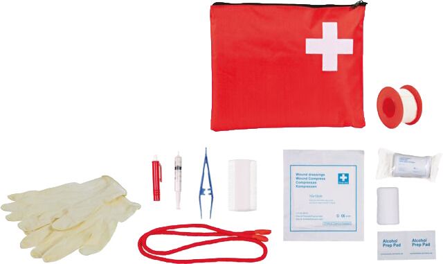 Kit primo soccorso per cani&gatti TX1929