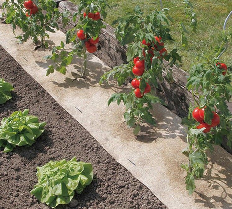 Telo pacciamatura biodegradabile „Flaxhemp“ 0,5x3m 500g/m²