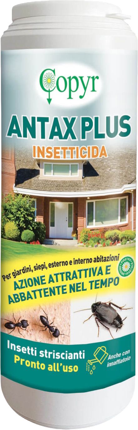 Copyr Insetticida Antax Plus 500g 24/ca