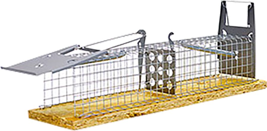 Falle Maus Drahtkäfig 2 Eingänge L=23cm 20St/Ka