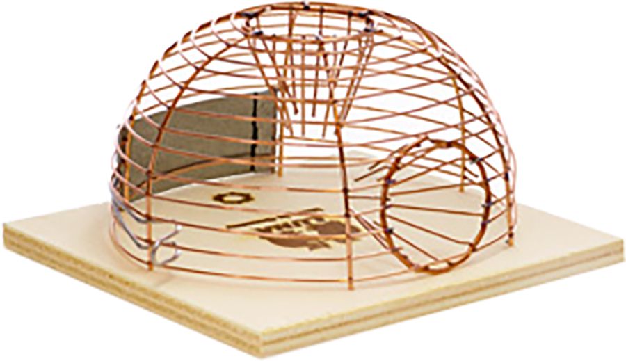 Trap mouse cage+wood 2 entries 20pcs/ca