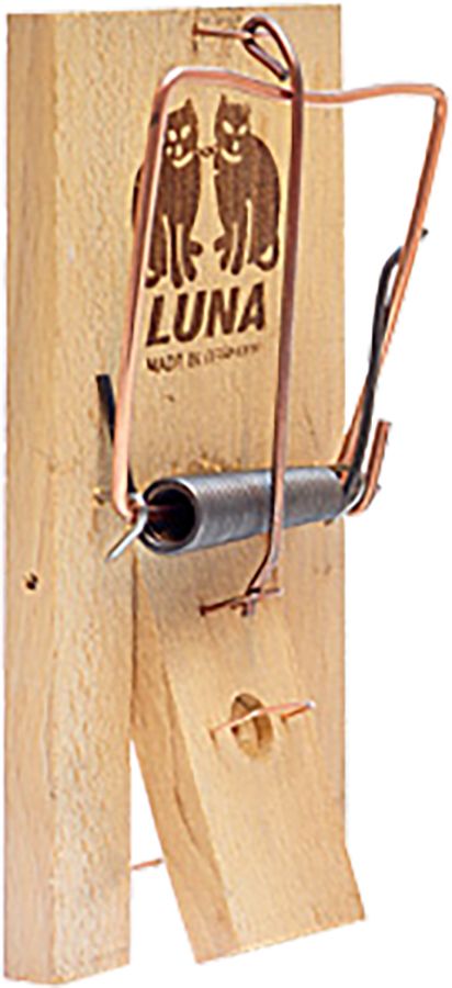 Trap rats Luna beech+wooden seesaw+bait hanger