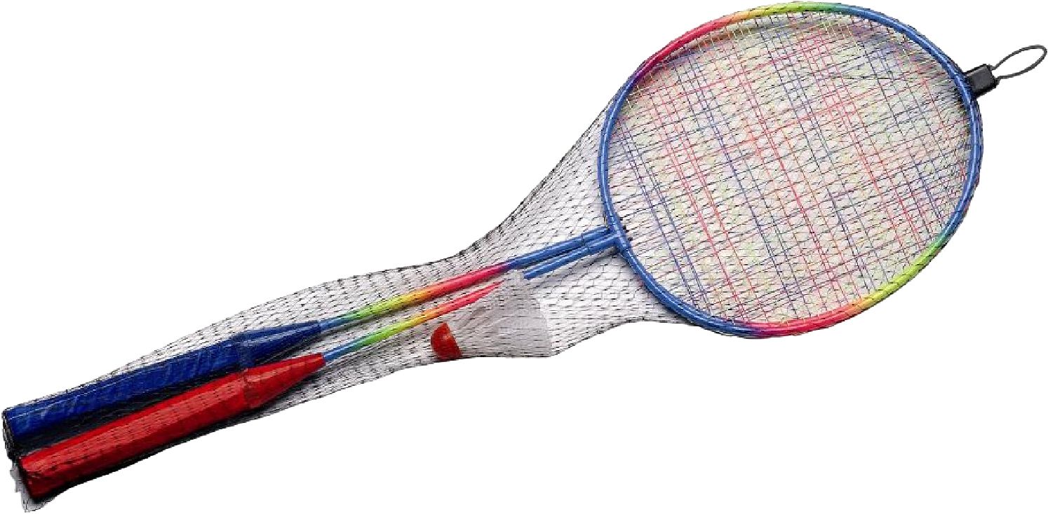 Gioco Badminton