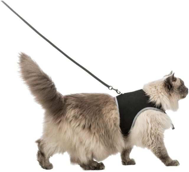Soft harness with lead 36-54cm 1,2m TX41895