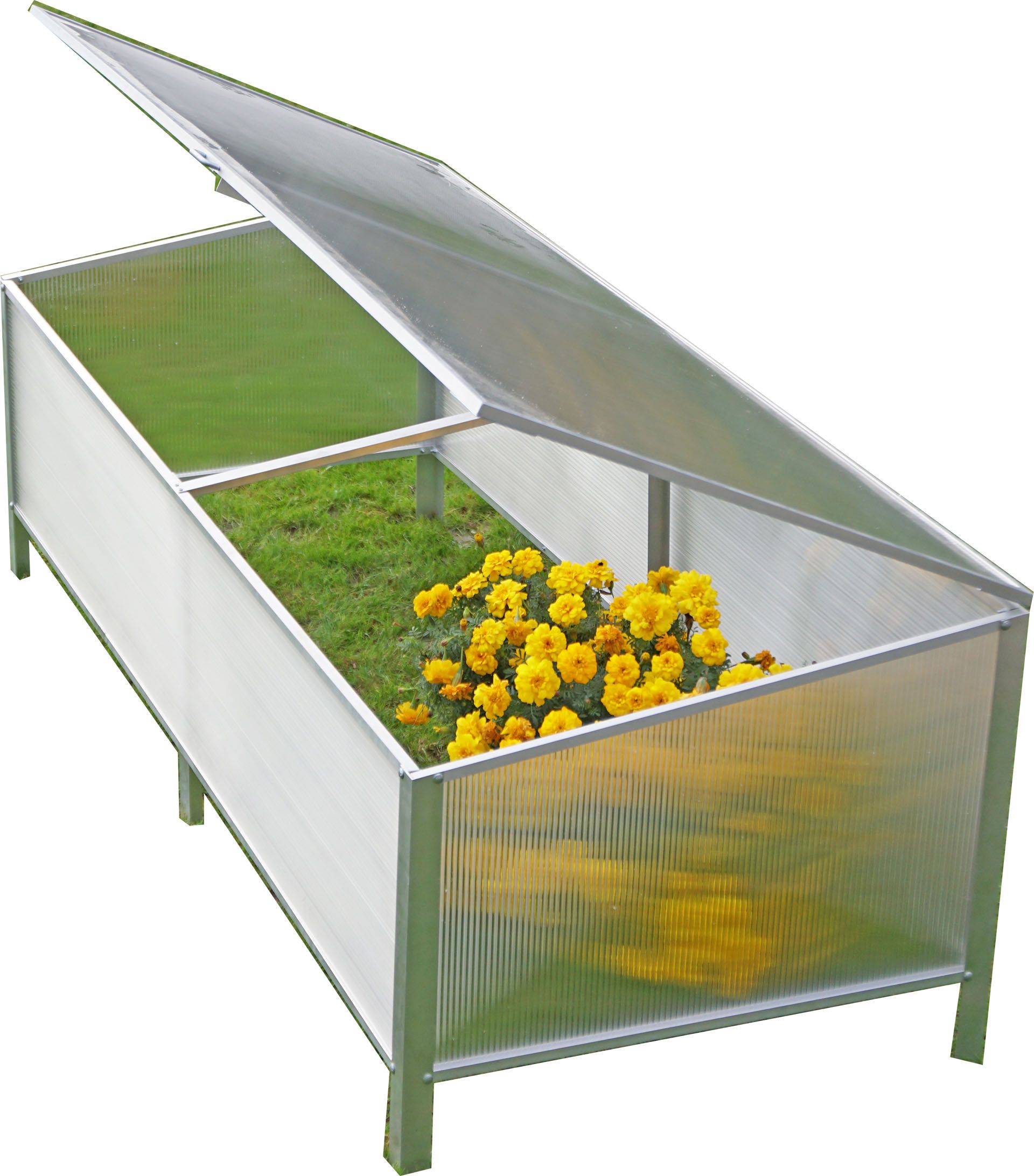 Serra lettorino 2 x 0,8 x H0,5m M