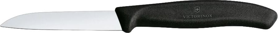 Spelucchino Standard 8cm