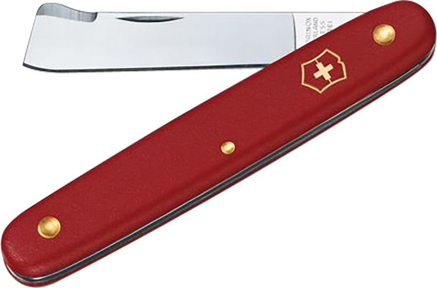 Budding Knife Victorinox straight
