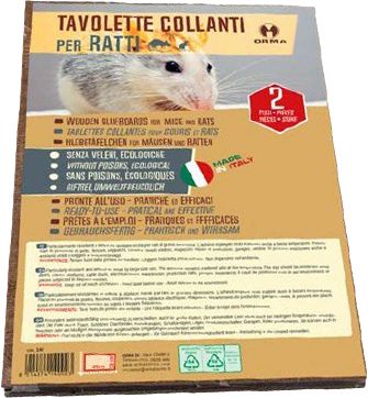 Orma Klebeplatte für Ratten 2St/Pk 24Pk/Ka