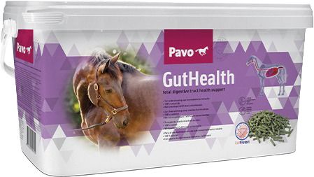 Cavalli Pavo ‚GutHealth‘ mangime compl. 7,5kg