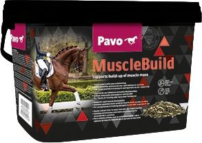 Cavalli Pavo ‚MuscleBuild‘ mang. complementare 3kg