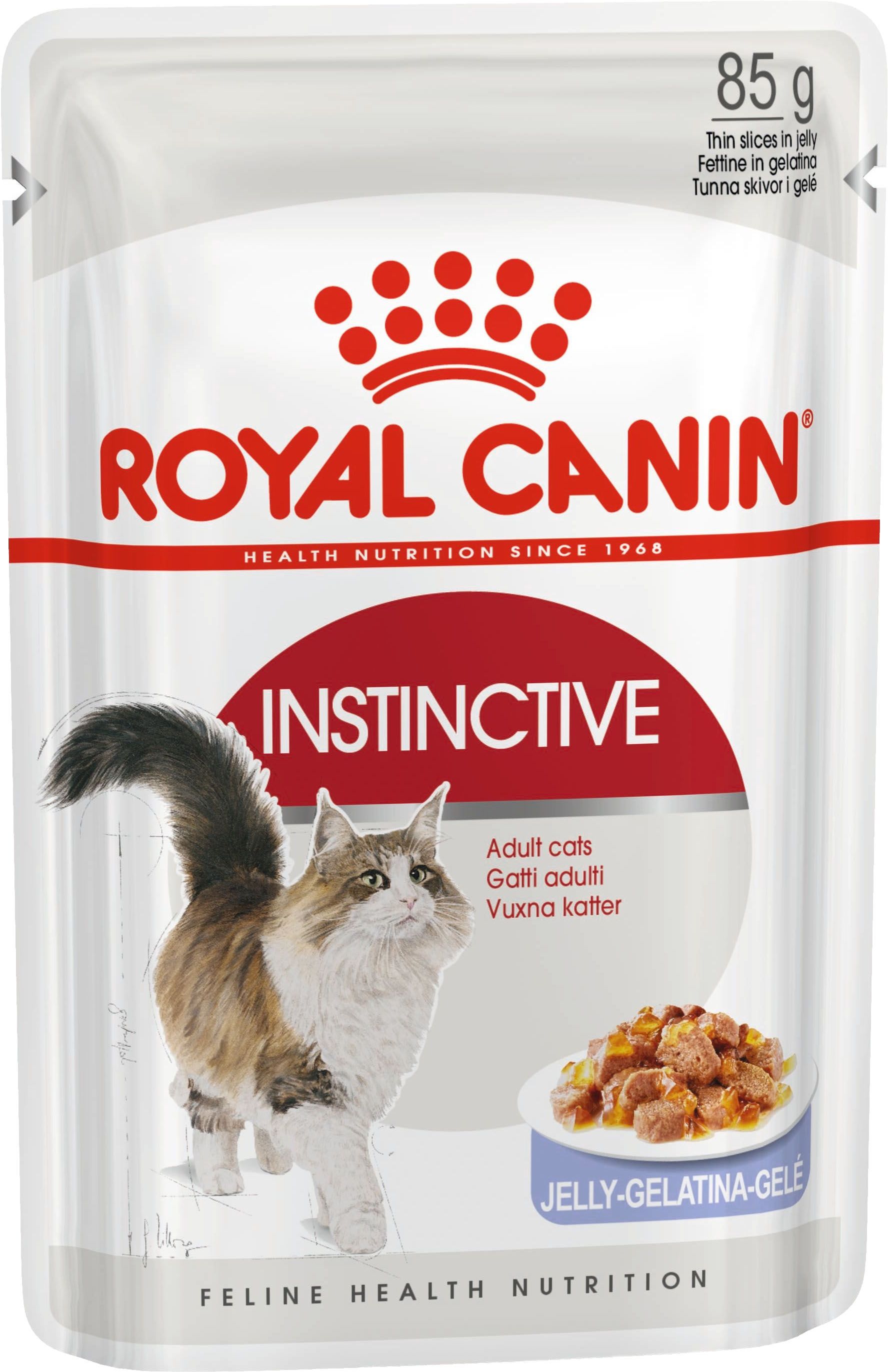 RC CAT FHN WET Instinctive jelly GR 85
