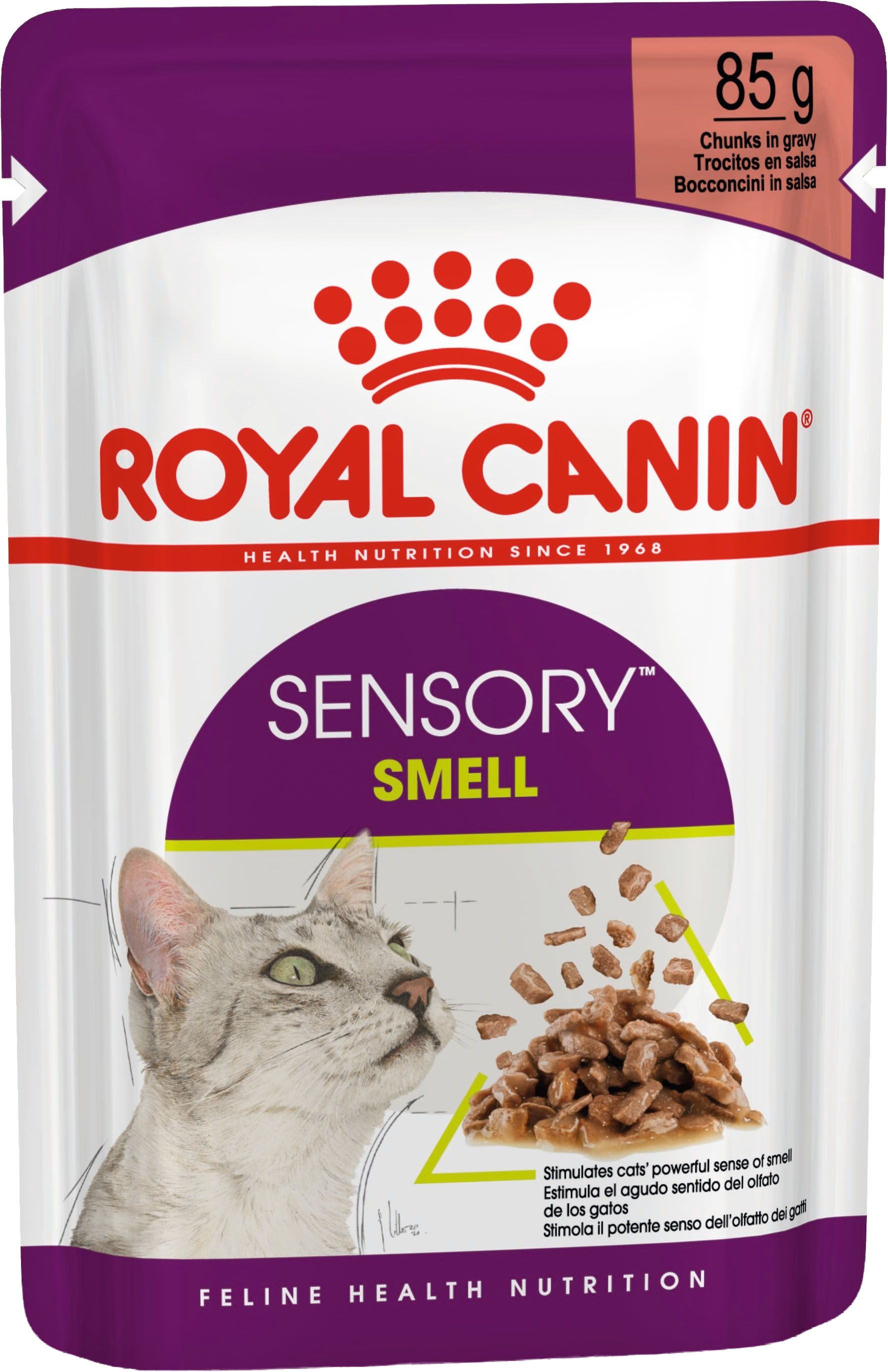 RC CAT FHN Wet Sensory Smell Gravy GR 85