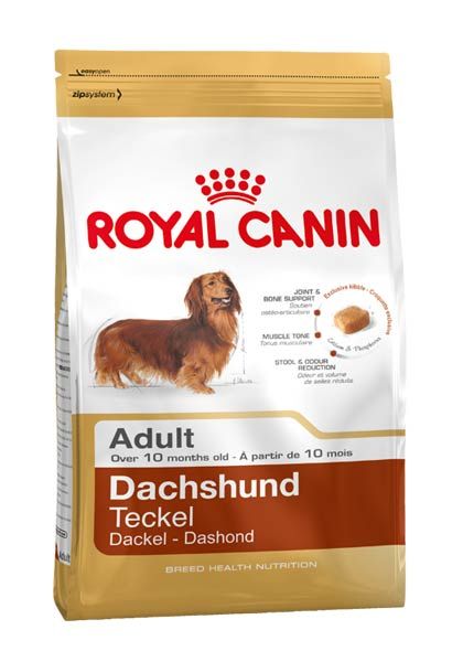 RC DOG BHN Teckel AD KG 1.5