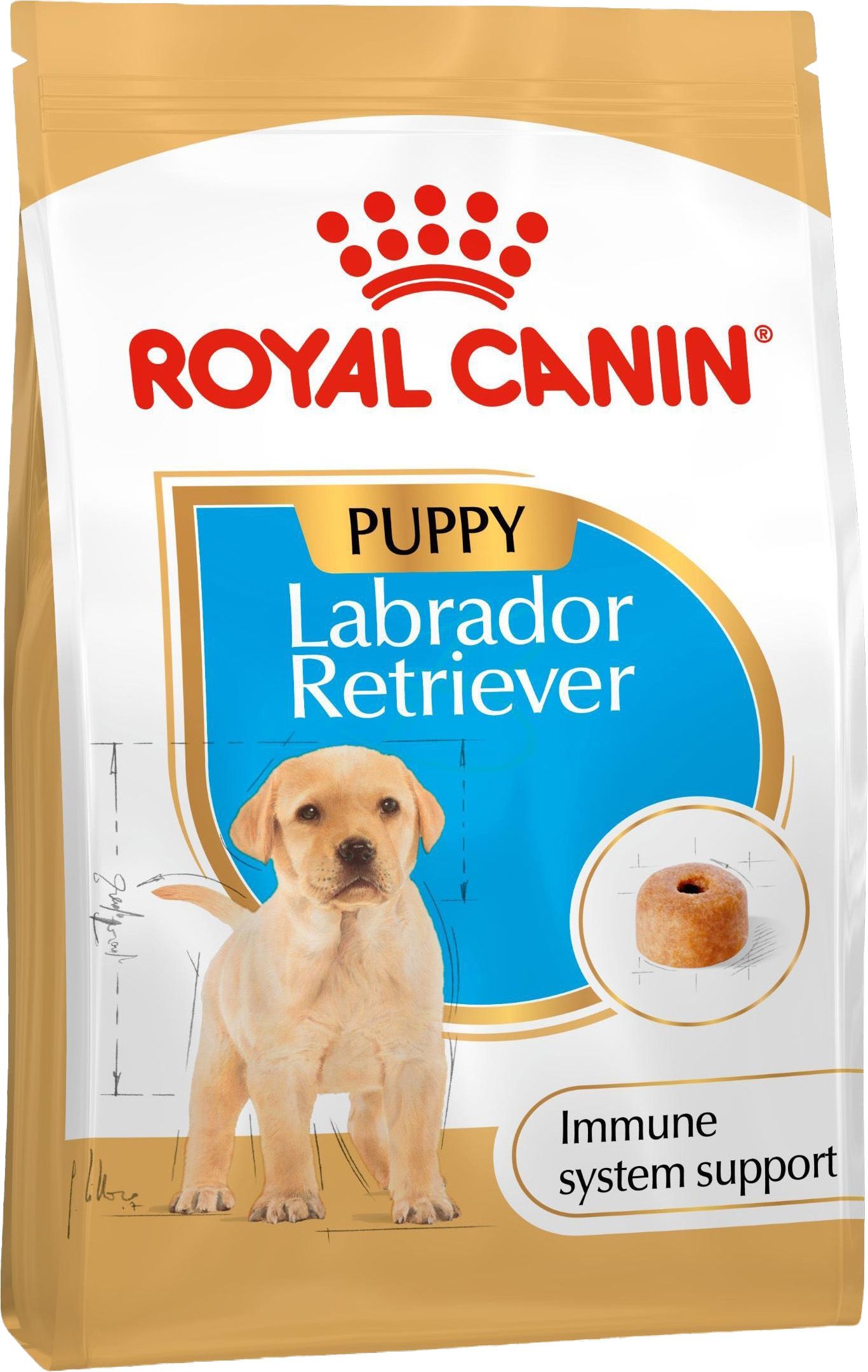 RC DOG BHN Labrador Puppy KG 3
