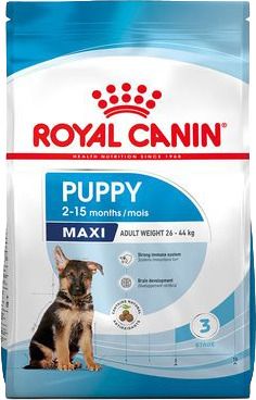 RC DOG SHN Maxi Puppy KG10
