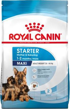 RC DOG SHN Maxi Starter M&B KG 4