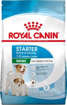 RC DOG SHN Mini Starter M&B KG 1