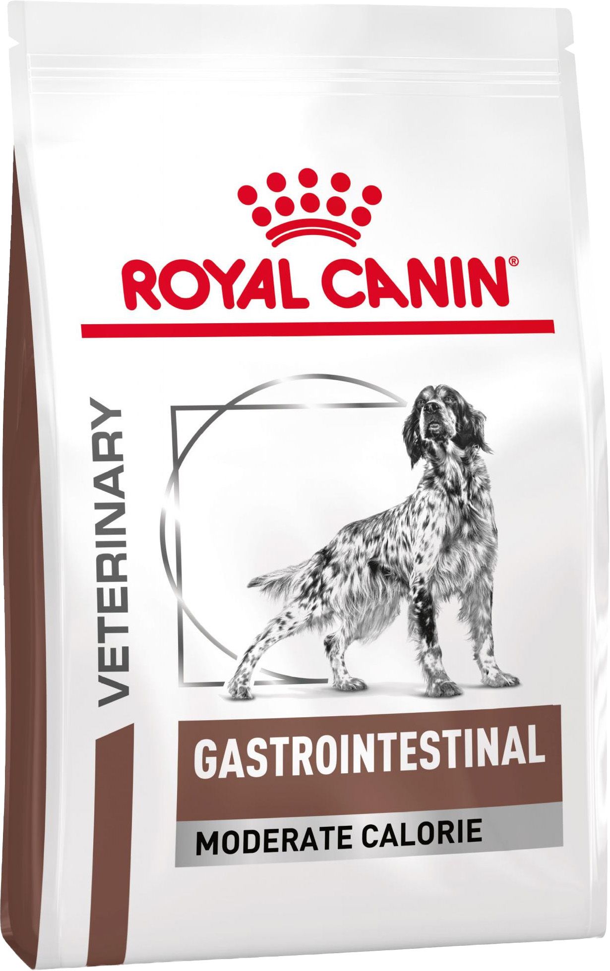 RC DOG VHN Gastro Intestinal MC KG 2